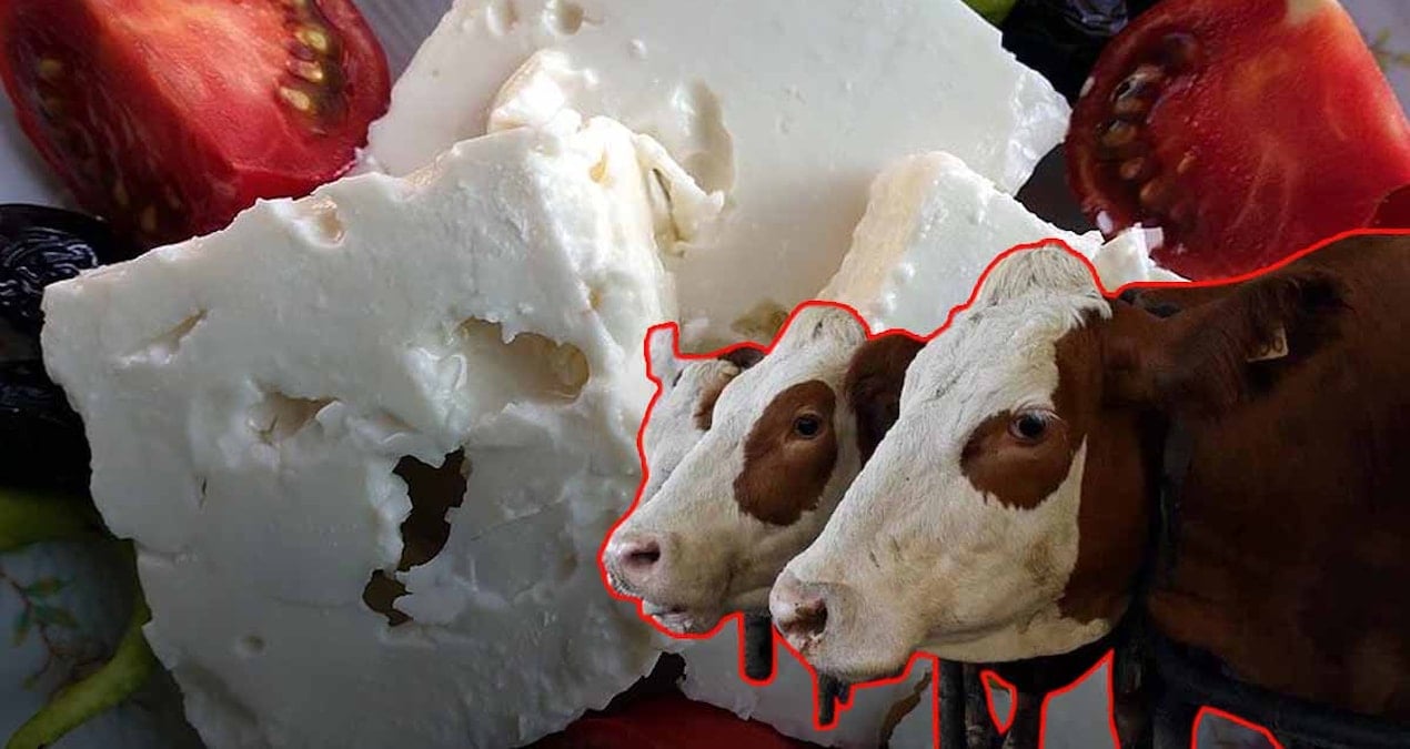 peynir-sicak-iklimin-kurbani-oldu-3iGlCwis.jpg
