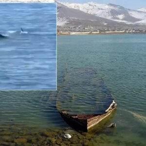 van golu canavari efsanesini yeniden gundeme getiren goruntu aLmEzi8g