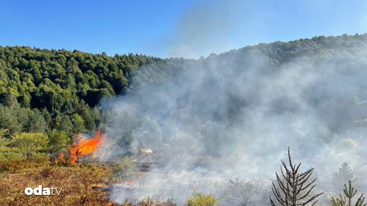 bilecikte orman yangini Rpds6mFe