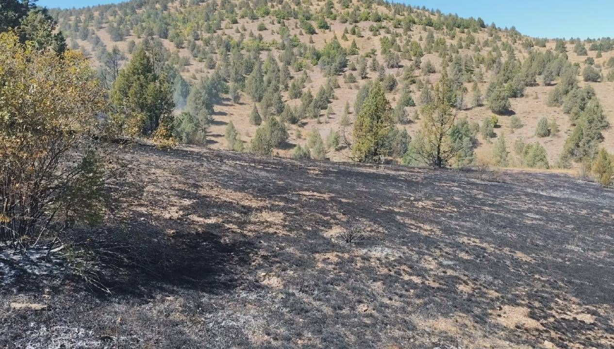 giresunda ortu yangini R8BtBZgE