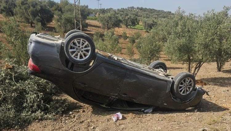 hatayda otomobil zeytin bahcesine uctu CSQZZyBS