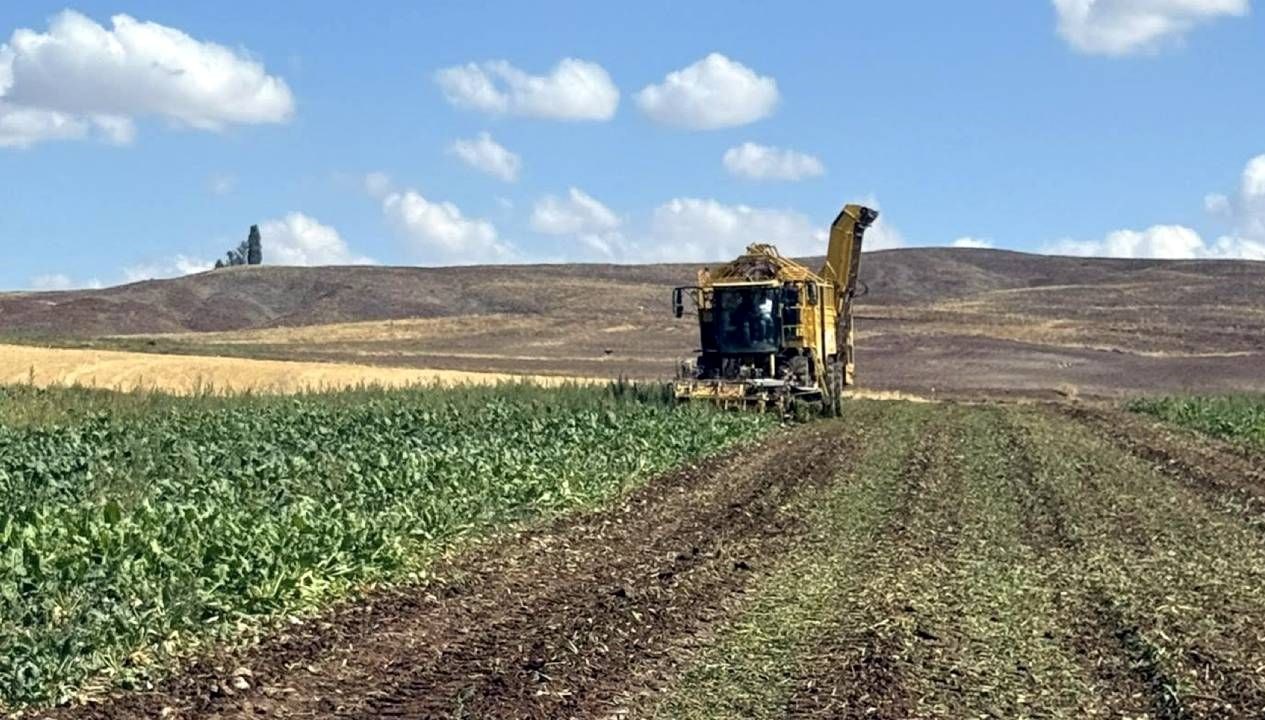 sivasta pancar hasadi basladi 5G9Ei8eB