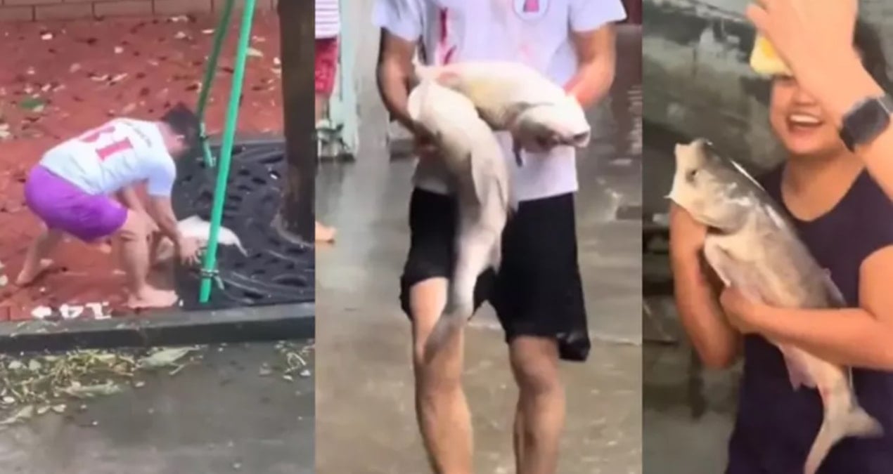 sokaklar balikla doldu kocaman baliklari kucaklayip eve goturduler 8e8mHj6l