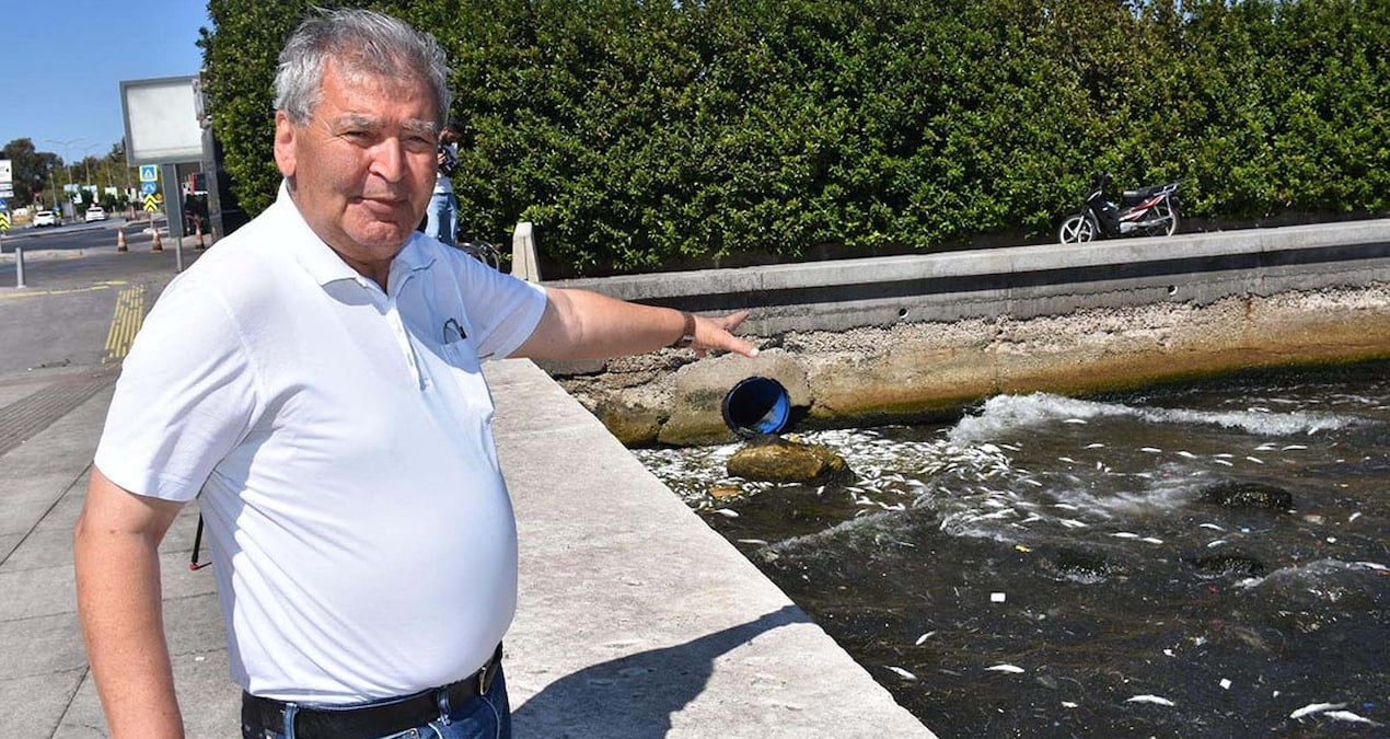 tedirgin eden goruntu buralarda sakin balik tuketmeyin Lmgma6dY