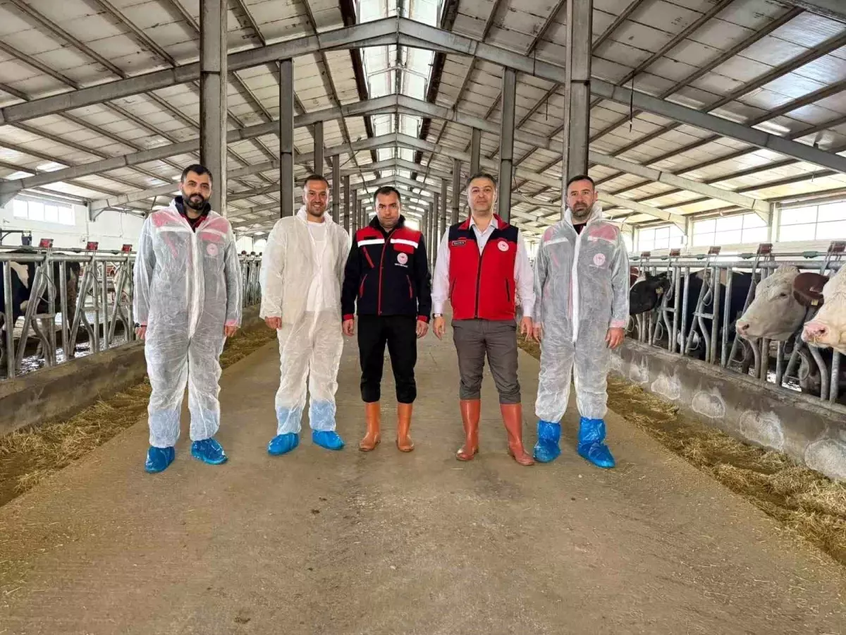 afyonkarahisarda yeni hastaliktan ari isletme sertifikasi UXRRFXXc.jpg