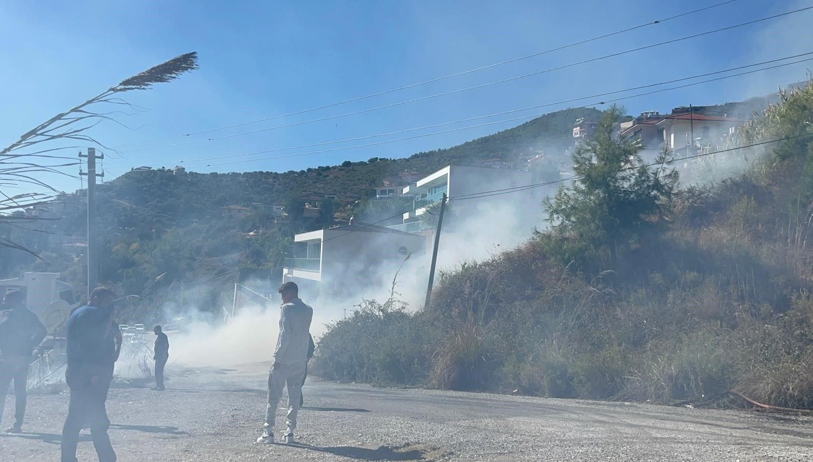 alanyada ormanlik alanda yangin AHxYtth6.jpg