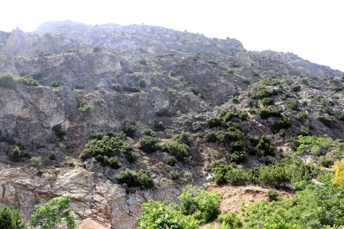 ispartada kaybolan 75 yasindaki adam icin arama calismalari baslatildi 9fOGvEY6.jpg