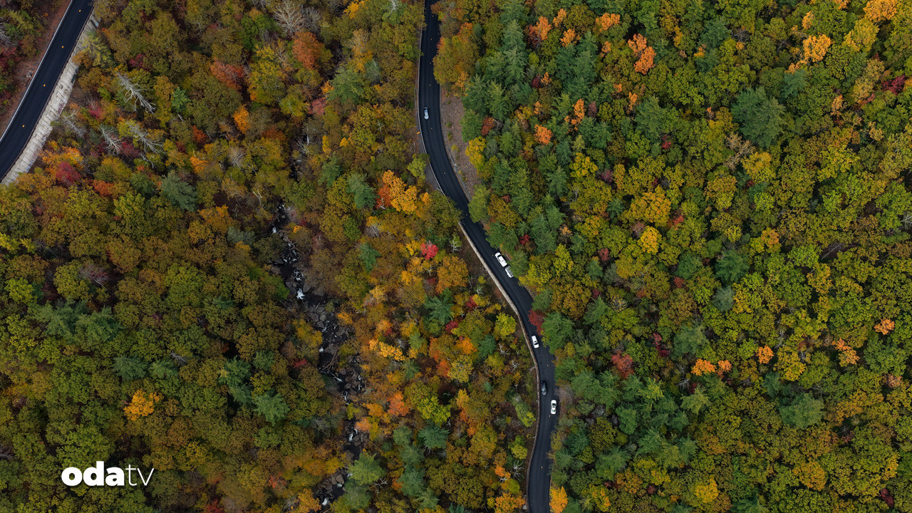 new yorkun catskills bolgesinde sonbahar renkleri kendini gostermeye basladi G83Wbb4s.jpg