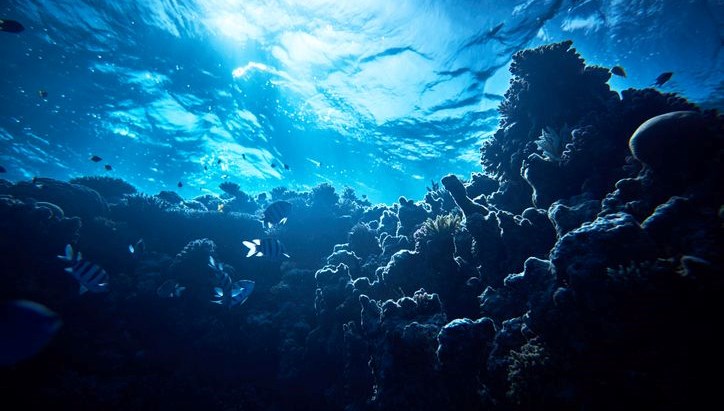 okyanusun altindan siziyor antarktikada sasirtan kesif cPGDmY6H