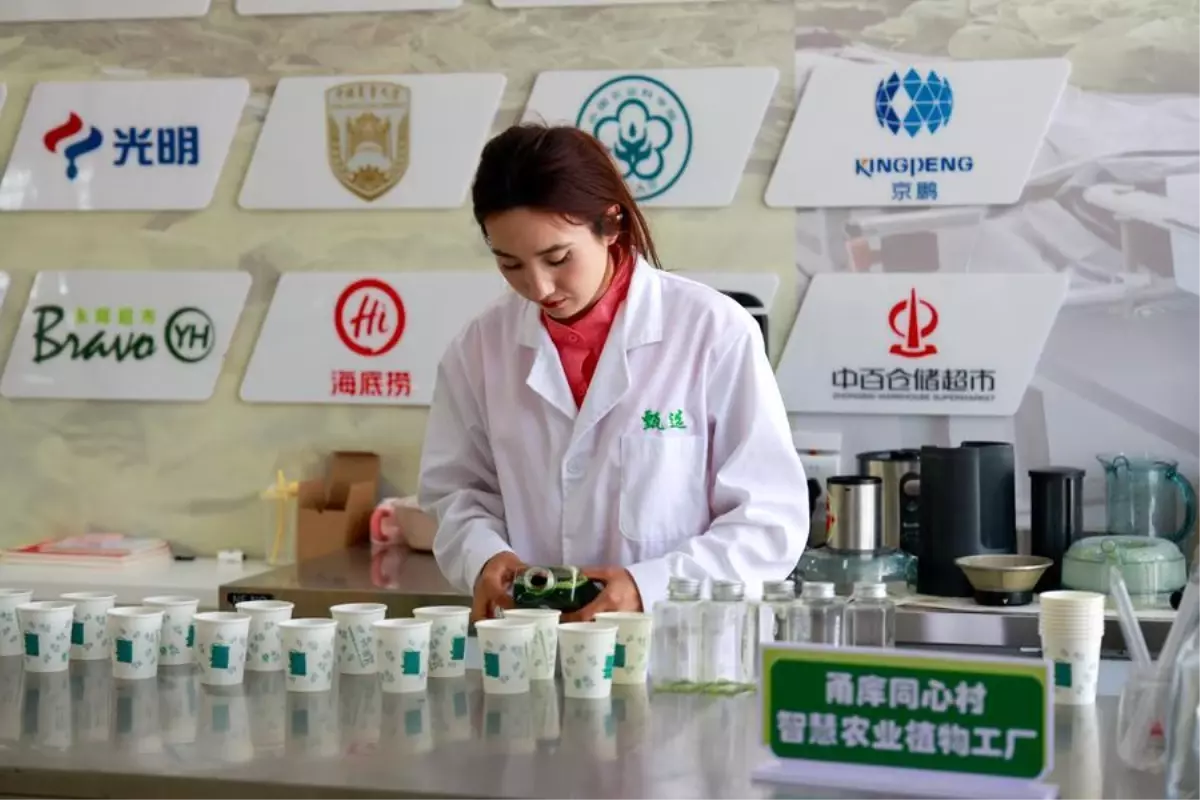 xinjianga yatirimlar artiyor YmXDzcsL.jpg