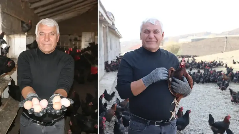 İsviçre’den döndü çocukluk hayalini gerçekleştirdi: Günde 3 bin 500 yumurta üretiyor