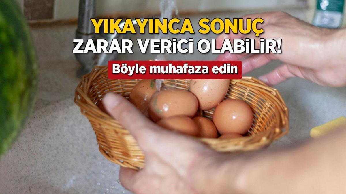 yikayinca sonuc salmonella bakterisi yumurtayi boyle muhafaza etmek sart nPkFK3SC.jpg
